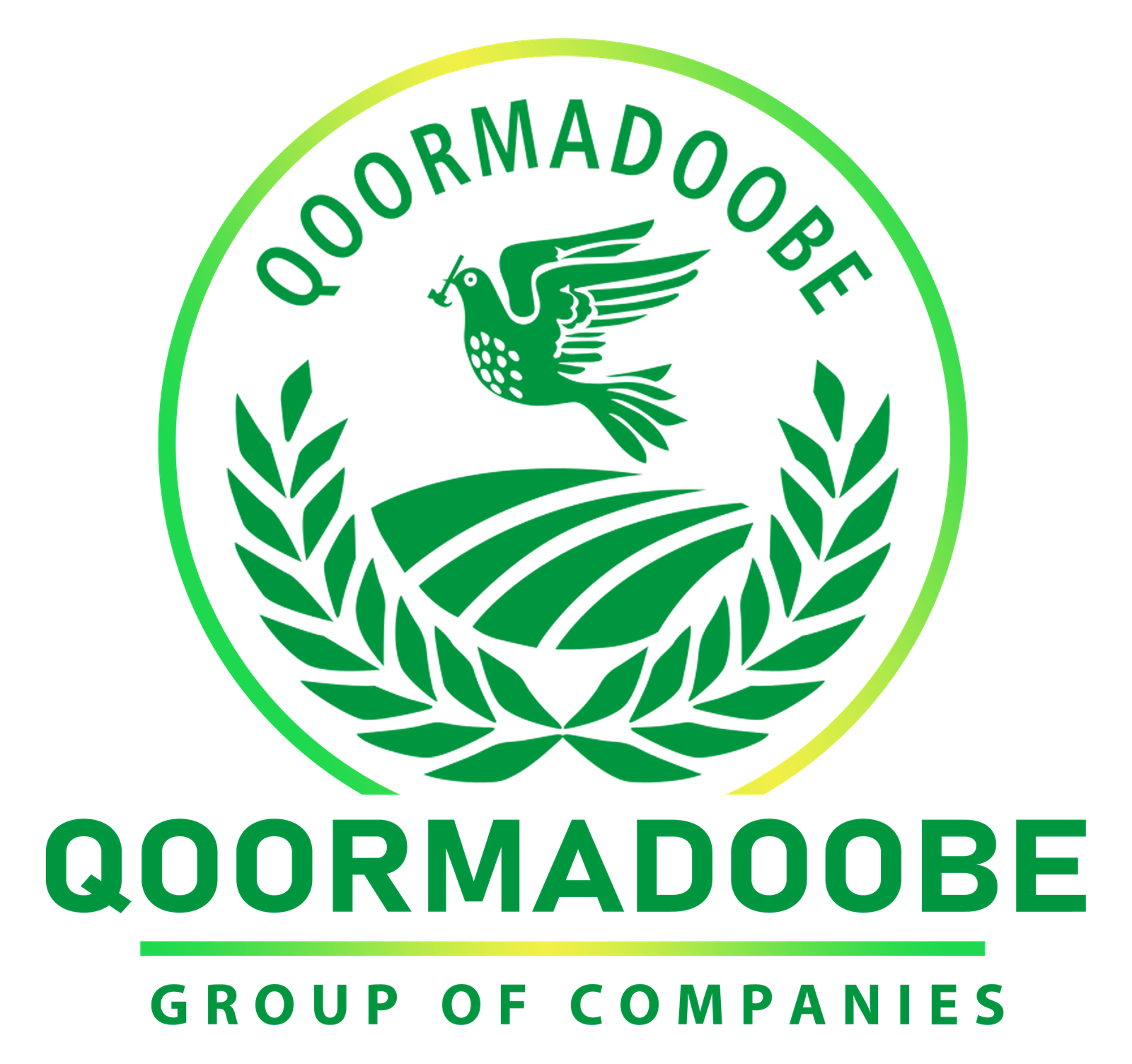 Qoormadoobe logo